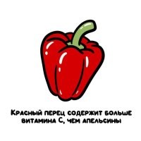 Да блин, даже еловая хвоя содержит больше витамина С, чем апельсин.