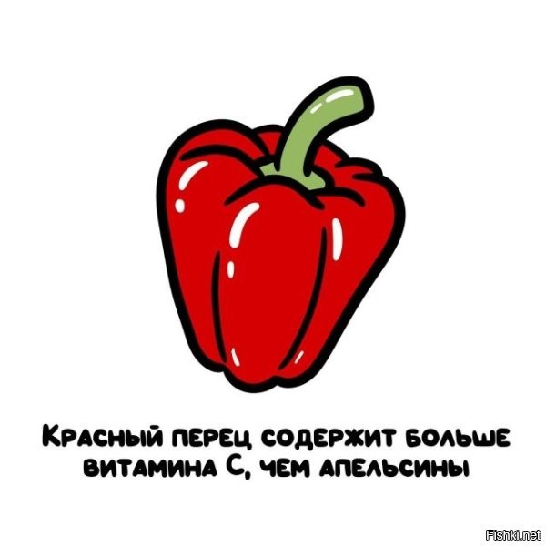 Да блин, даже еловая хвоя содержит больше витамина С, чем апельсин.