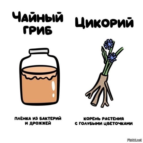 Чёрт, а я их всегда путал. Ну теперь-то буду знать.