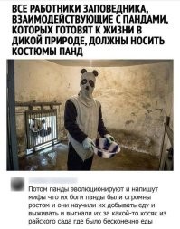 Забавный рабочий эпизод сотрудницы центра, где разводят панд