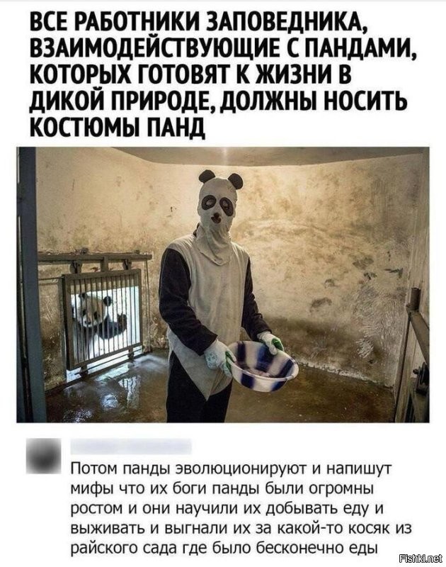Забавный рабочий эпизод сотрудницы центра, где разводят панд