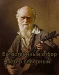 Турист сорвался со скалы во время фотосессии