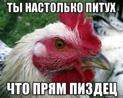 Чё не капсишь мокрожопый, в ЛТП лечился? Да тебе выродку бесполезно, ты как был тупорылым бараном, говноедом так и остался