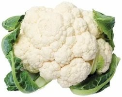 Пионы, розы, георгины....
Вот самый практичный цветок.