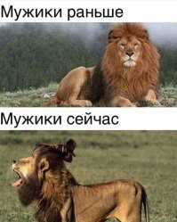 Девушка или металлист?