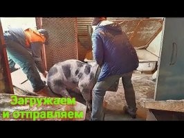 есть варианты: