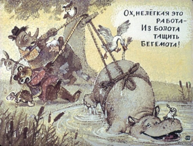 Погрузка бодипозитивной активистки в самолет