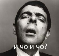 Цукерберг прокатился на&nbsp;серфе в&nbsp;костюме орлана на День независимости США