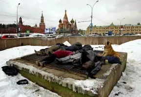 Уличная жизнь это так...