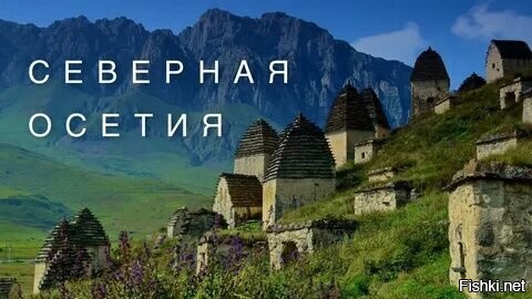 Солянка от 07.07.2025