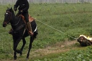 И в заключении маструбека ... прокатить на лошадке. Точнее позади лошадки.