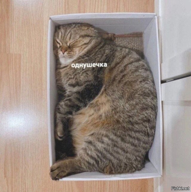 Солянка от 07.07.2025