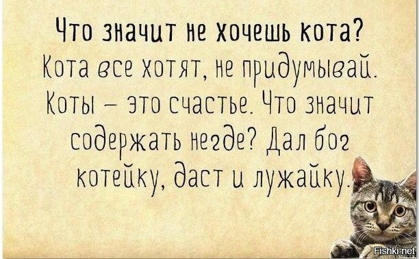 Солянка от 07.07.2025