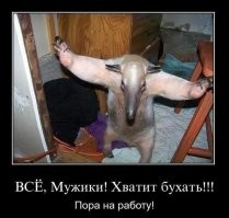 Не киски, и не "киски"