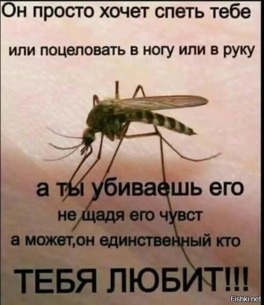 "Какой он, этот Слонопотам? Неужели очень злой? Идет ли он на свист? И если идет, то зачем ?.. Любит ли он поросят или нет? И к а к он их любит?.."