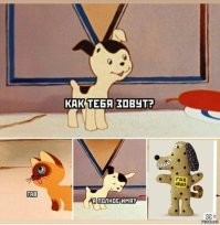 Контекстная реклама со странным подтекстом