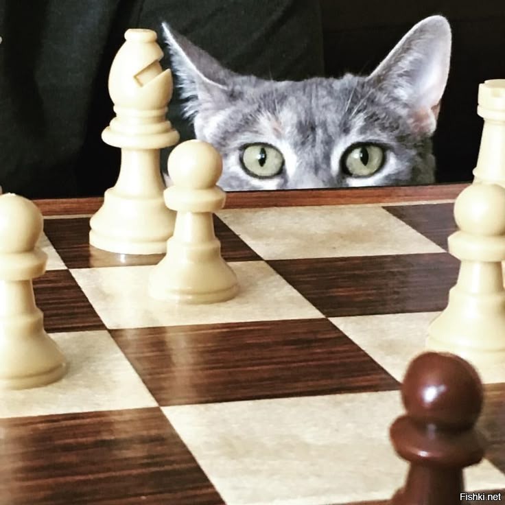 Оксана , ...