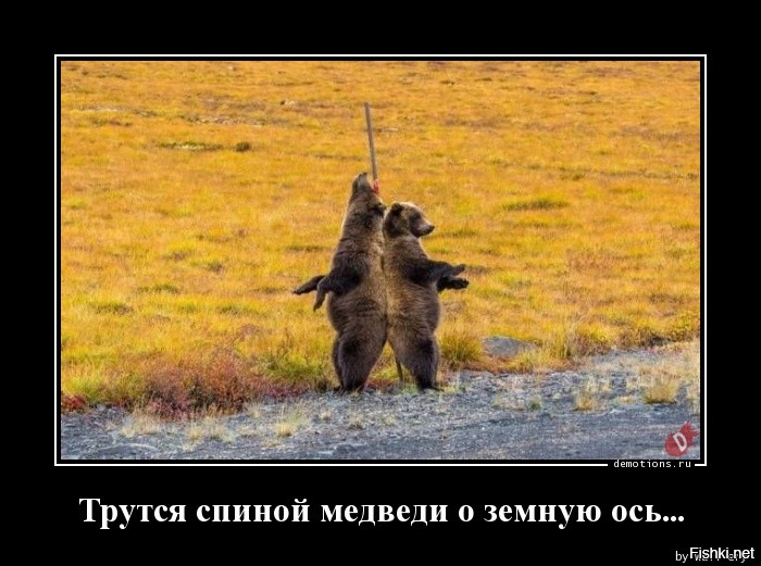 Трутся об ось медведи - вертится Земля.