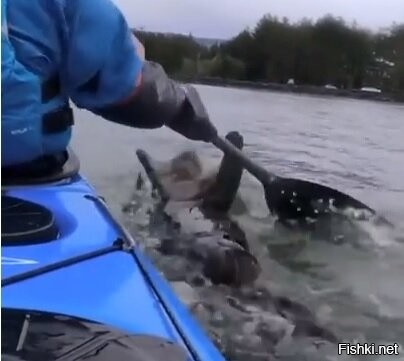 "Ну дай! Ну дай погребсти! Ну чо ты?..."