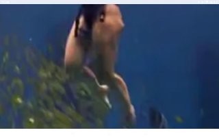 Я увидела другой пак...