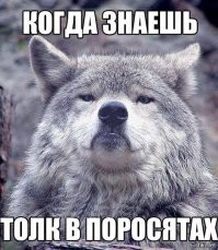 Не ищите здесь смысл. Здесь в основном маразм