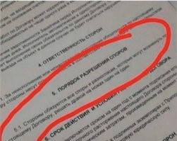 Договор лучше читать внимательно, конечно