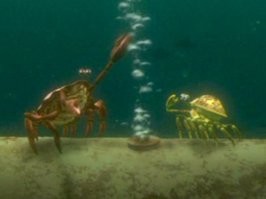 Крабам подходит