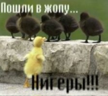 Просто гифки, всякие и&nbsp;разные