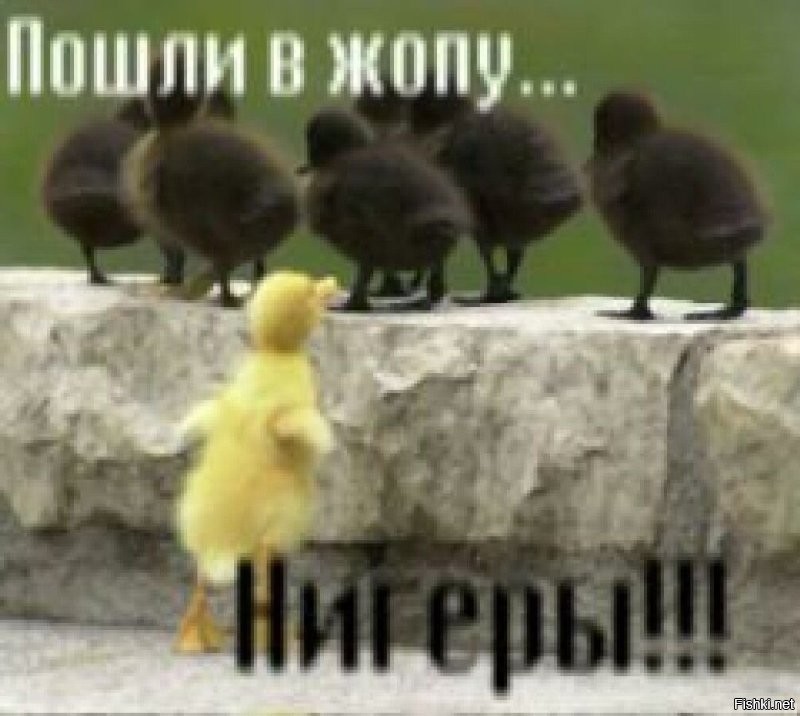 Просто гифки, всякие и&nbsp;разные