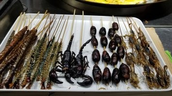 ахахах,тем временем,эти же девушки в обед: