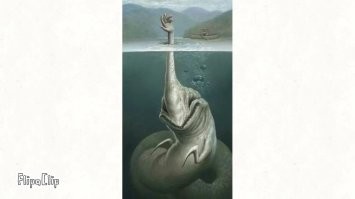 Идеальное жильё для интроверта