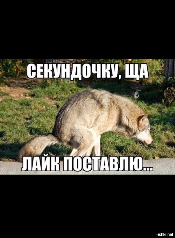 Мерзкий поступок туристки