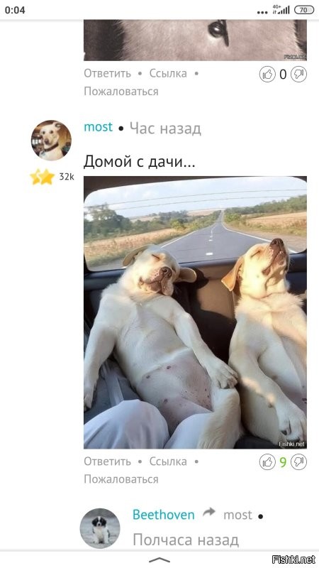 Наконец-то эти домой уехали...