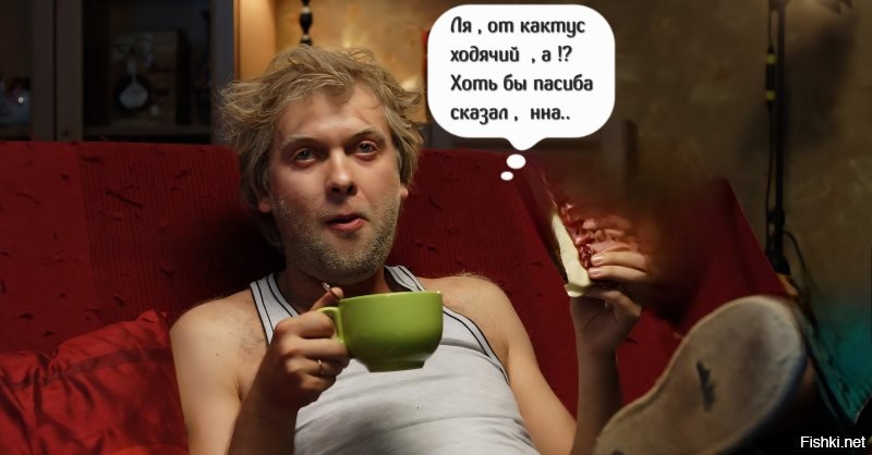 Ёж пришёл за помощью к людям