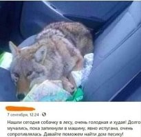 Напомнило:
