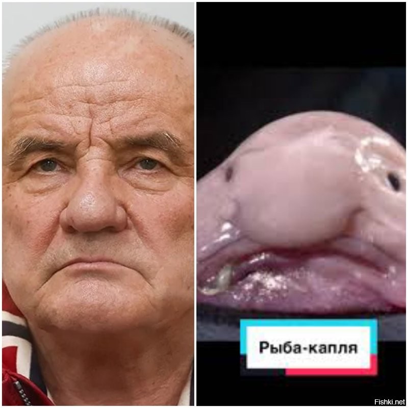 Ну и рожа у этого  мерзкого Попова! Я вот думала, кого он мне напоминает, и вспомнила, у него рожа один в один как у рыбы капли