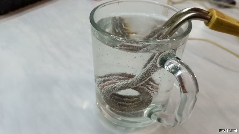 Брызги говоришь? В большей половине домов страны стоят электрические плиты. У каждого, хоть раз в жизни, что-то "убежало" или пролилось на плиту и что-то я не слышал о массовых поражениях электрическим током, хотя там 380 вольт. Вот такую вещь видел когда-нибудь?