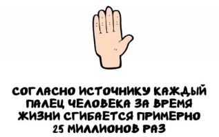 Ну явно работая с мышкой (кнопка + колёсико) указательный у меня в 1000 раз более задействован чем мизинец ... а тут про КАЖДЫЙ говорится