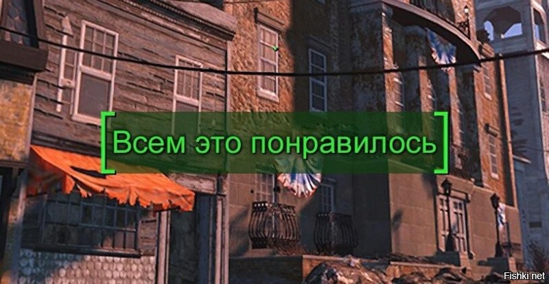 Трогательная история неразлучных бездомных собак