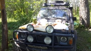 Пусть отсосут у моего 30 летнего ниссана, который заводится в -40, едет везде и за 20 лет владения я первый раз купил ремкомплет суппортов)
Про "старый" пятнадцатилетний вольво вообще молчу, только масло меняется.