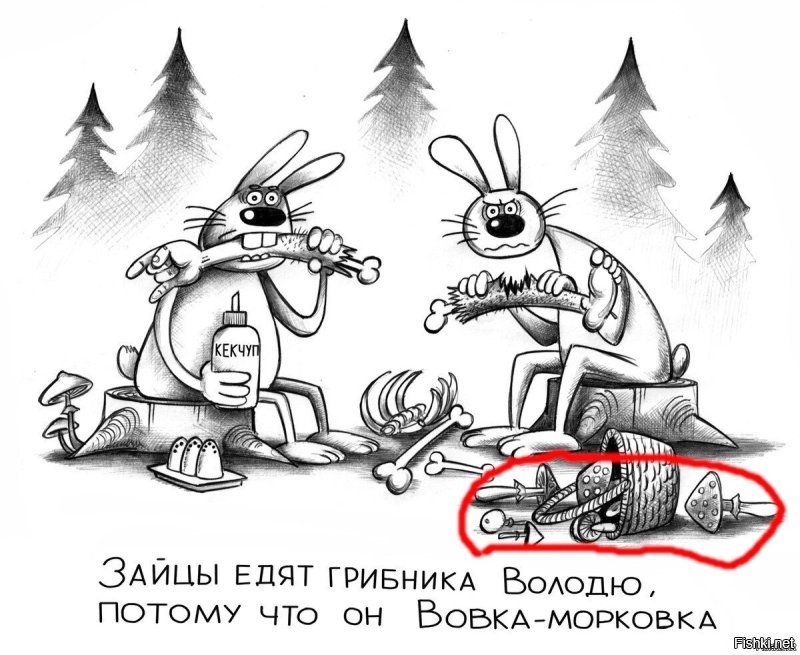 после мухоморов да поганок ещё и не такое увидишь...
