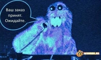 Не ищите здесь смысл. Здесь в основном маразм