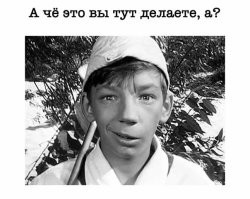 Ужасы и чудеса пионерского лагеря: пользователи предались воспоминаниям о своём летнем отдыхе и так и не пришли к единому мнению