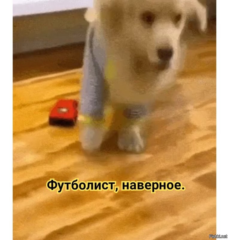 Просто гифки, всякие и&nbsp;разные