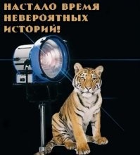 Для таких историй будет актуальней. Добавляй в мемориз)