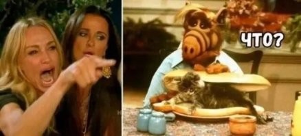 Скрины из соцсетей&nbsp;&nbsp;&nbsp;&nbsp;&nbsp;&nbsp;&nbsp;&nbsp;&nbsp;&nbsp;&nbsp;&nbsp;