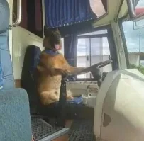 Пассажир запинал водителя автобуса за просьбу убрать собаку с сиденья