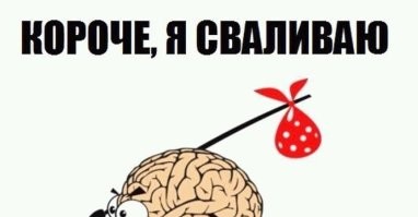 Лишь о политике