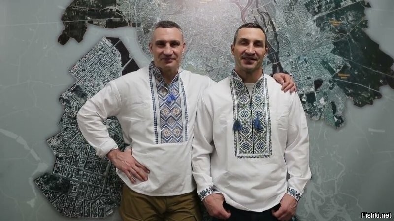 Внешность обманчива: 10 зарубежных звёзд с неожиданно высоким IQ