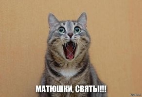 Женщина сломала кота
